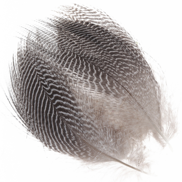 Wapsi Teal Barred Flank