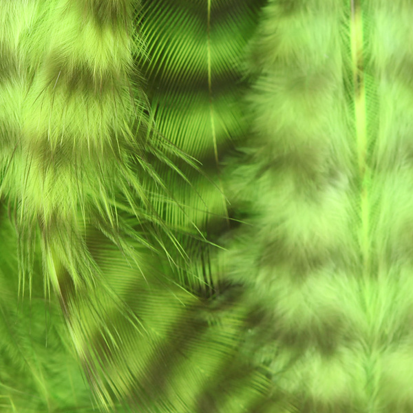 Hareline Grizzly Soft Hackle