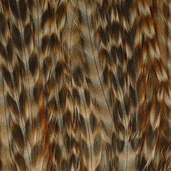 Metz Barred Rooster Saddles