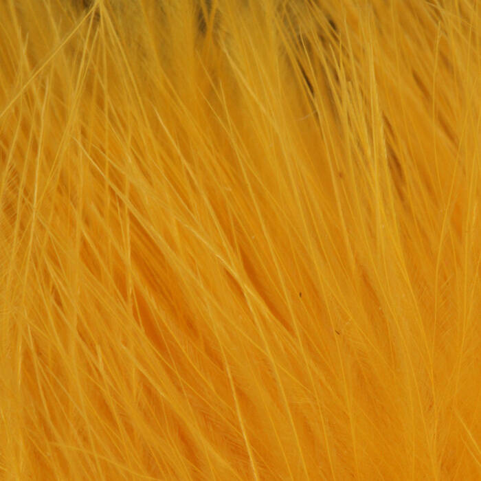 Gold Olive