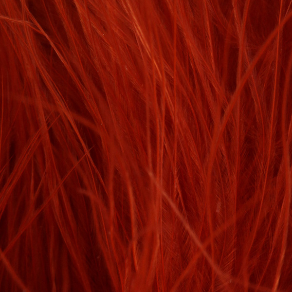 FFGene Wooly Bugger Marabou (Blood Quill) (7-10 cm)