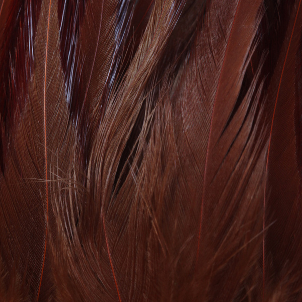 FFGene Strung Saddle Hackle