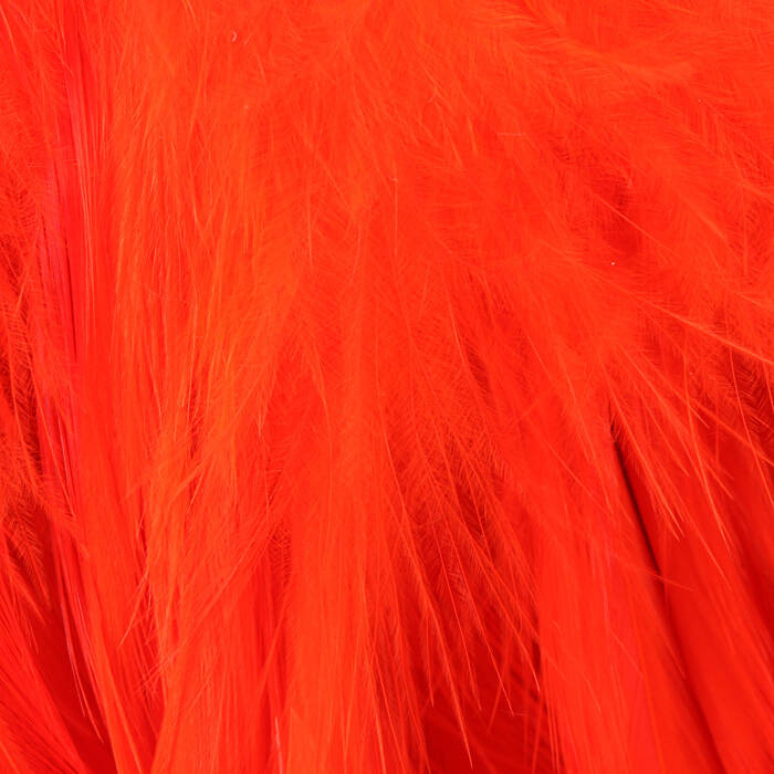Hot Orange