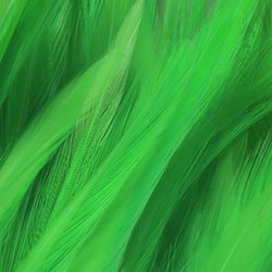 FFGene Strung Saddle Hackle