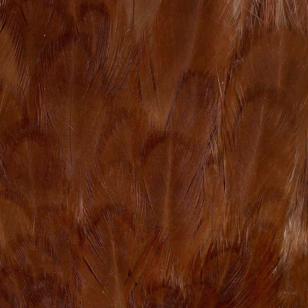 FFGene India Hen Saddles