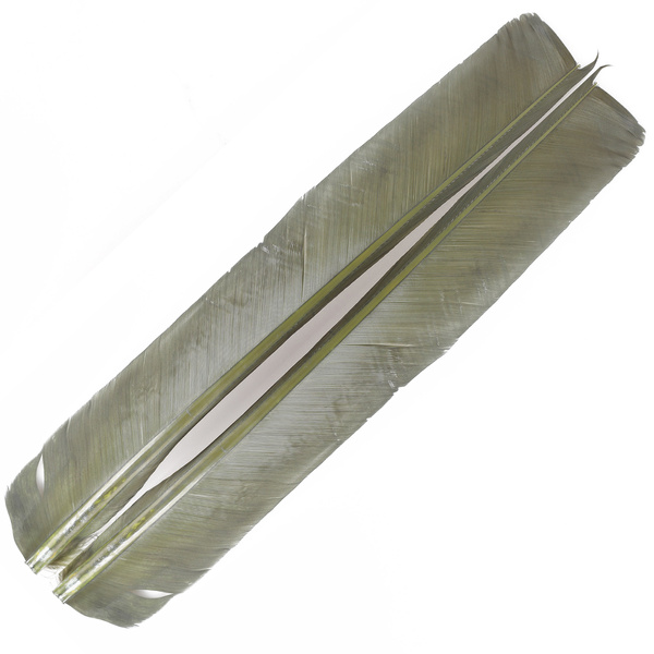 FFGene Turkey Biots Quill