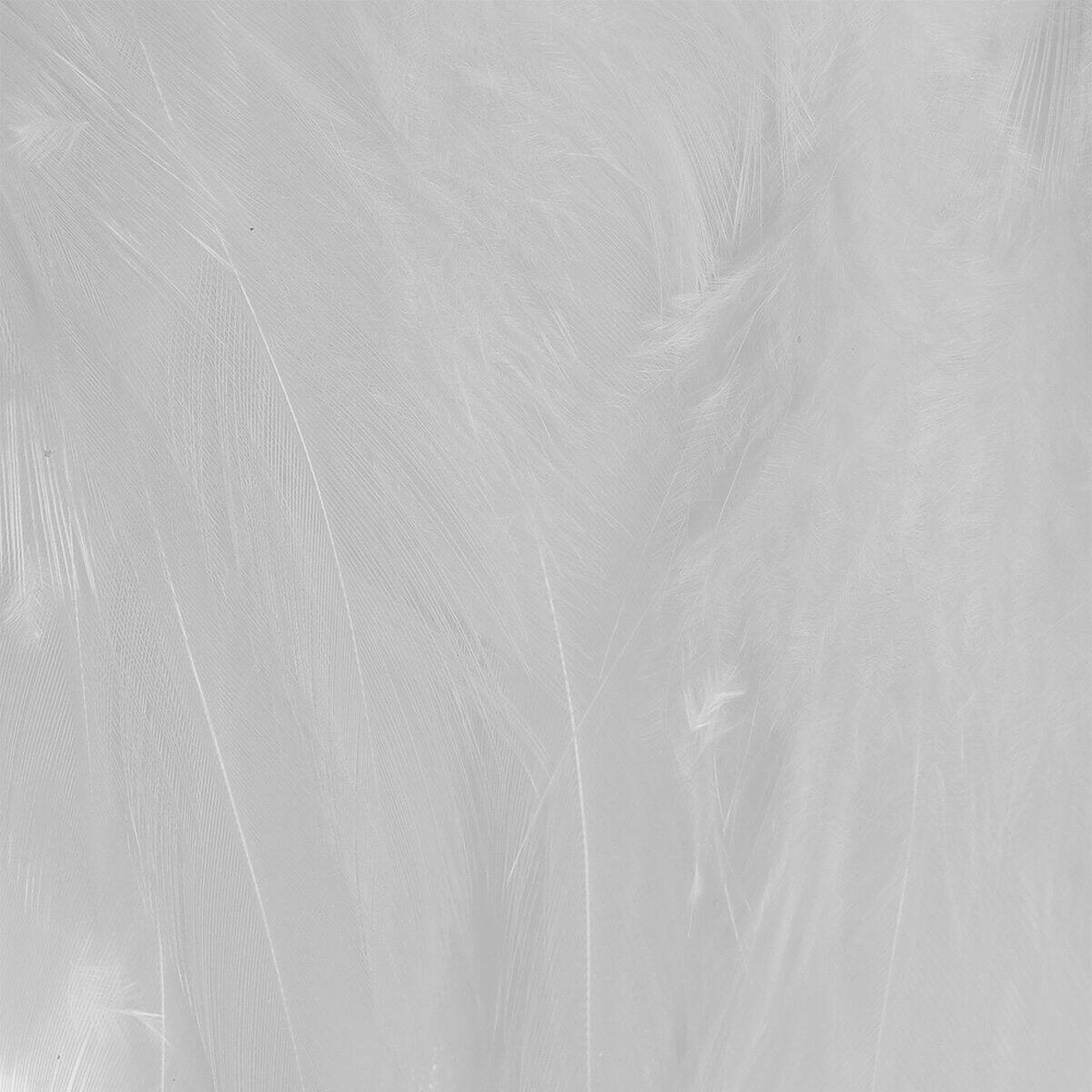 Medium White