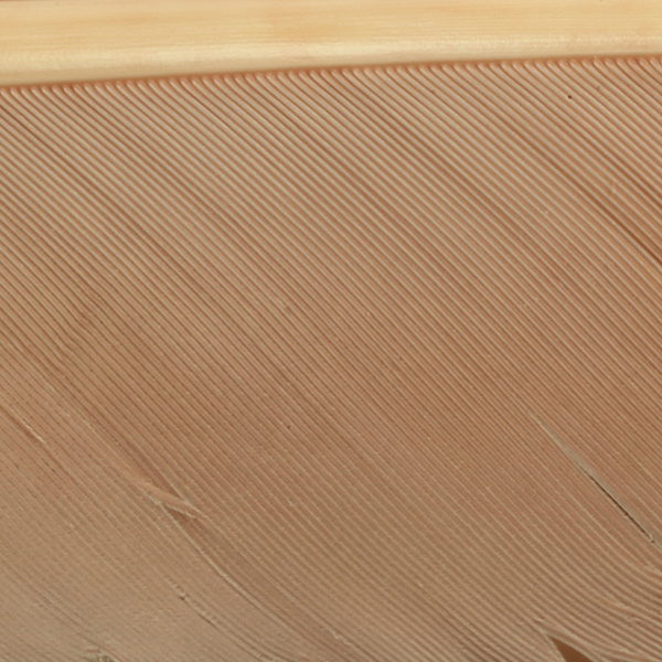 Hareline Turkey Biot Quills