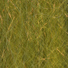 Wild Olive