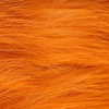 Crawdad Orange