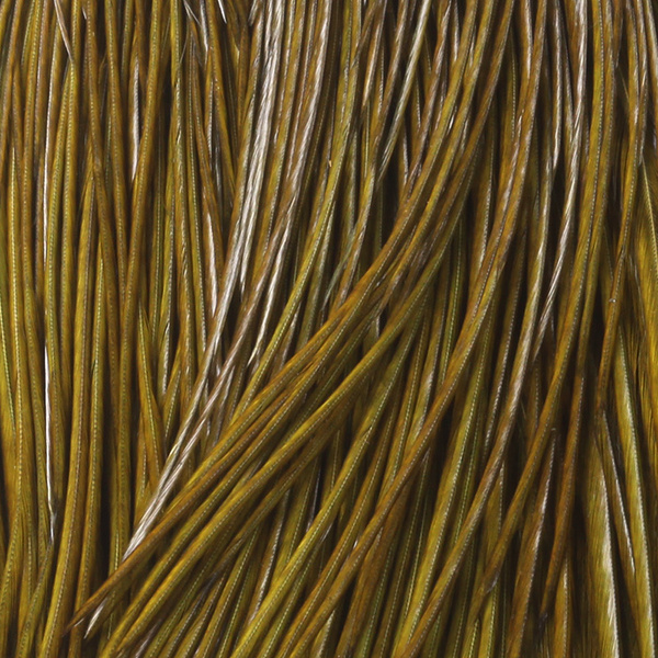 Whiting Bronze Cape