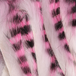 Spirit River UV2 Dos Jail Rabbit Strips