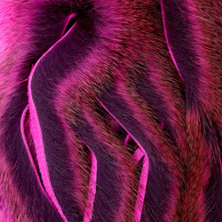 Wapsi Pine Squirrel Zonkered Skin