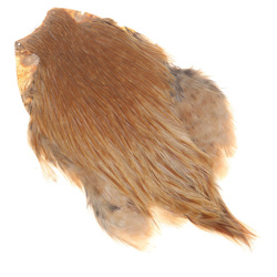 FFGene India Cock Cape Class A