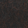 Fiery Black