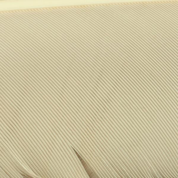 Hareline Turkey Biot Quills