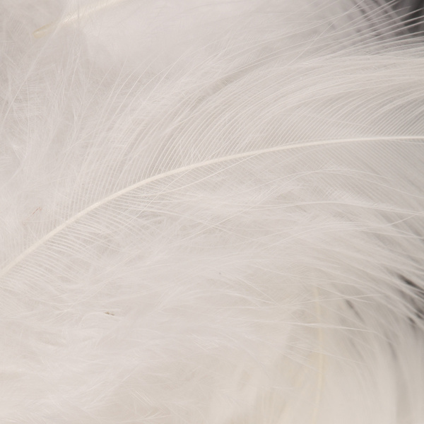 Wapsi White Matuka Soft Hackle