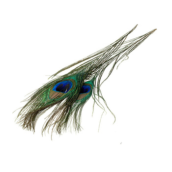 FFGene Peacock Eye Feathers, 2 Pieces