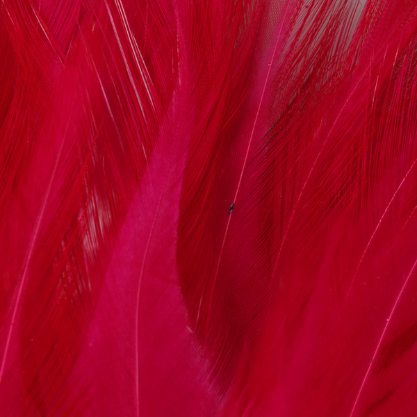 FFGene Strung Saddle Hackle