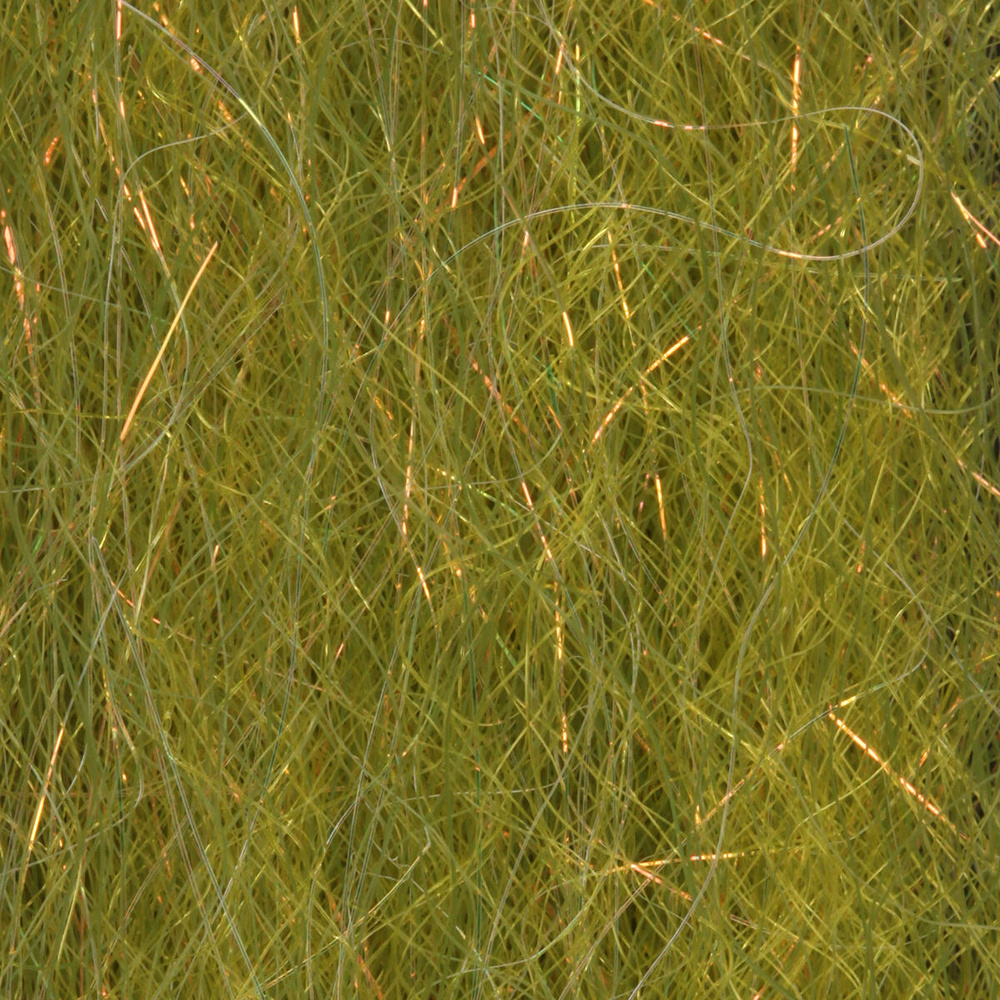 Wild Olive