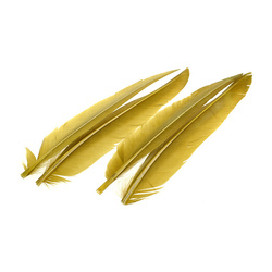 Wapsi Duck Wing Quills, 2 Pairs