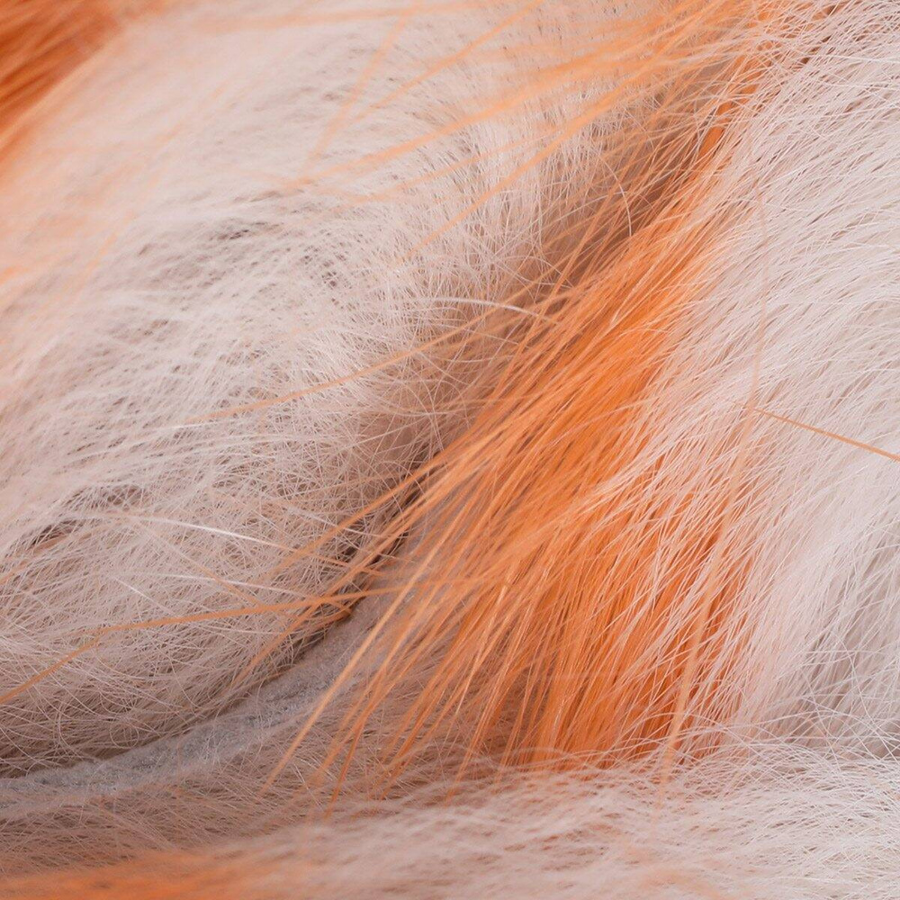 Salmon Flesh