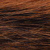 Natural Fox