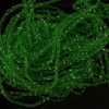 Green Caddis