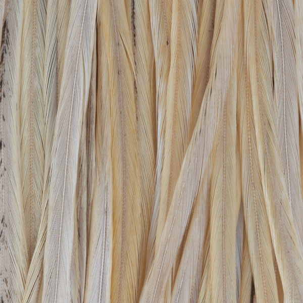 Whiting Dry Fly Saddle