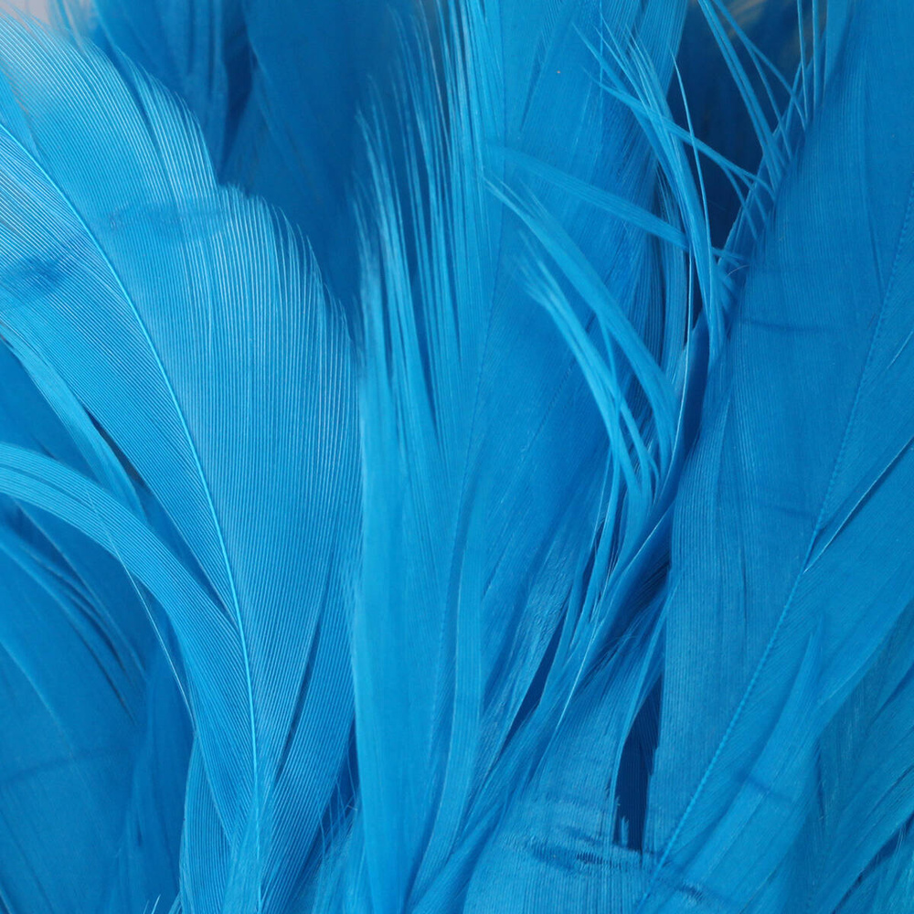 Kingfisher Blue