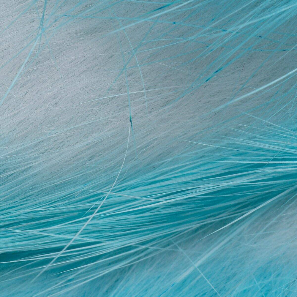 White Bright Blue