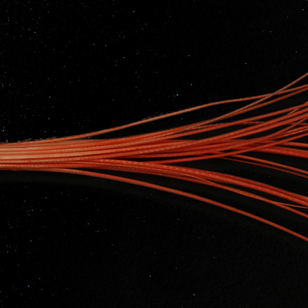 Hareline Quill Body