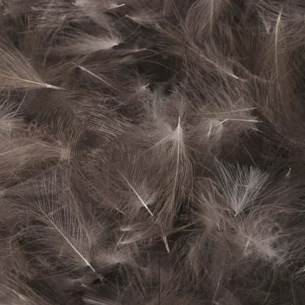 FFGene CDC Premium - Natural 1 gram