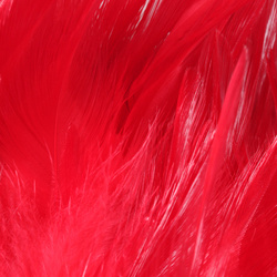 FFGene Strung Saddle Hackle