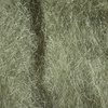 Gray Olive