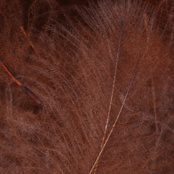 FFGene CDC Goose Jambo Pack - 1 gr