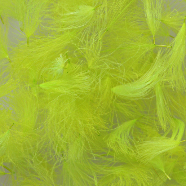 Hareline CDC Oiler Puffs