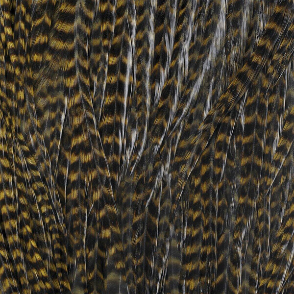 Ewing Grizzly Half Saddles