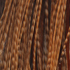 Barred Dark Ginger
