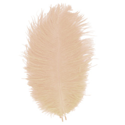FFGene Ostrich Hackle Feathers