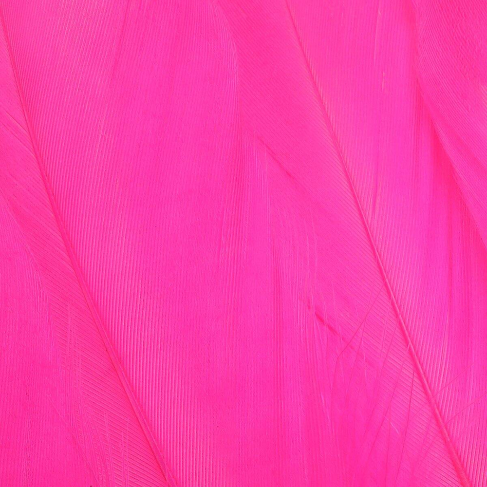 Fl. Pink