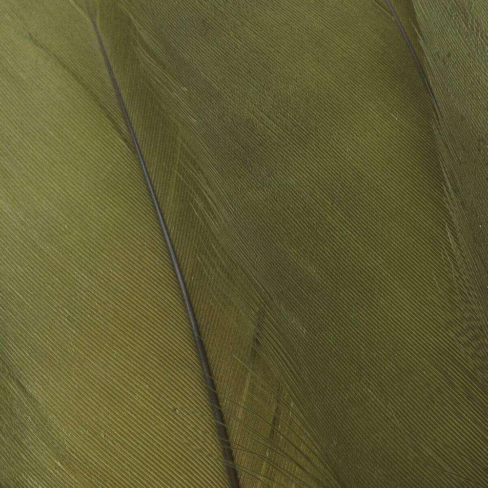 dark olive