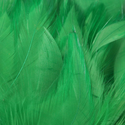 FFGene Strung Saddle Hackle