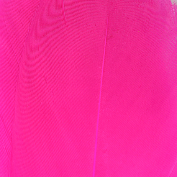 Hareline Select Goose Shoulder