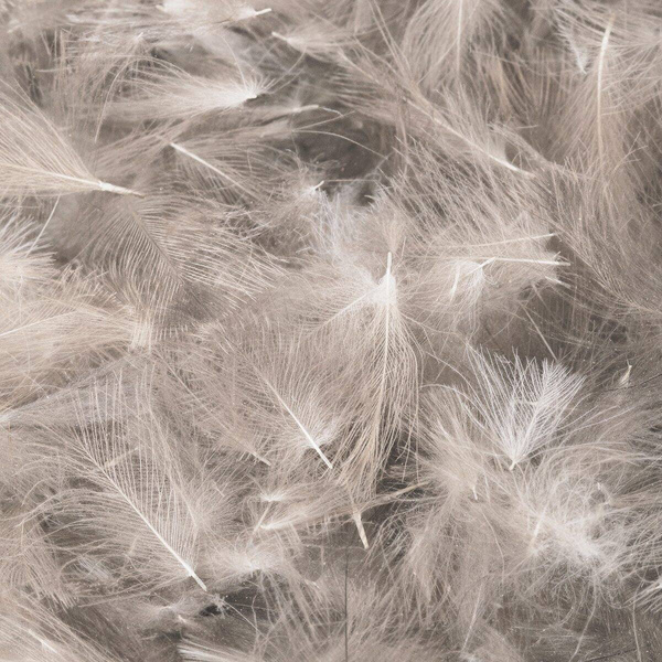 FFGene CDC Premium - Natural 1 gram