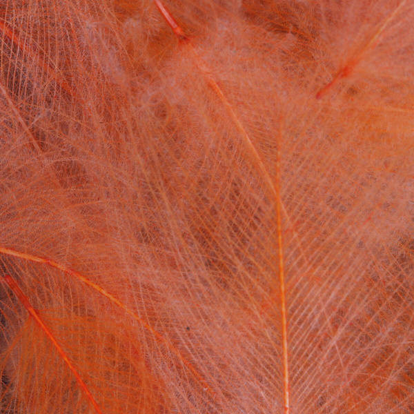 FFGene CDC Color Jambo Pack - 1 gr