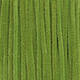 Caddis Green