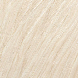 Wapsi Dry Fly Neck Hackle