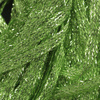 Chartreuse Lime
