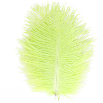 FFGene Ostrich Hackle Feathers